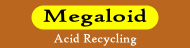Megaloid Laboratories Ltd