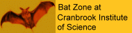Bat Zone at Cranbrook Institute of Science