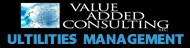 Value Added Consulting