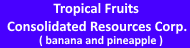 Tropical Fruits Consolidated Resources Corp. -1-