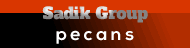 Sadik Group -1-