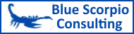 Blue Scorpio Consulting, LLC