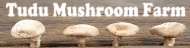 Tudu Mushroom Farm