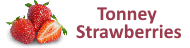 Tonney Strawberries