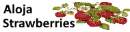 Aloja Strawberries