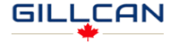 Gillcan Global Inc -2-