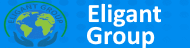 Eligant Group Inc.