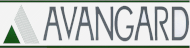 Avangard Industries S.A. de C.V.