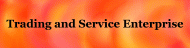 Trading and Service Enterprise