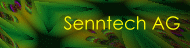 Senntech AG -3-