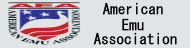 American Emu Association
