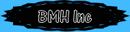 BMH Inc