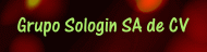 Grupo Sologin SA de CV -6-