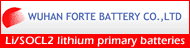 Wuhan Forte Battery Co.,Ltd -6-