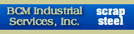 BCM Industrial Services, Inc.