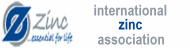 International Zinc Association - America -6-